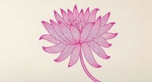 lotus: pink w/ stem